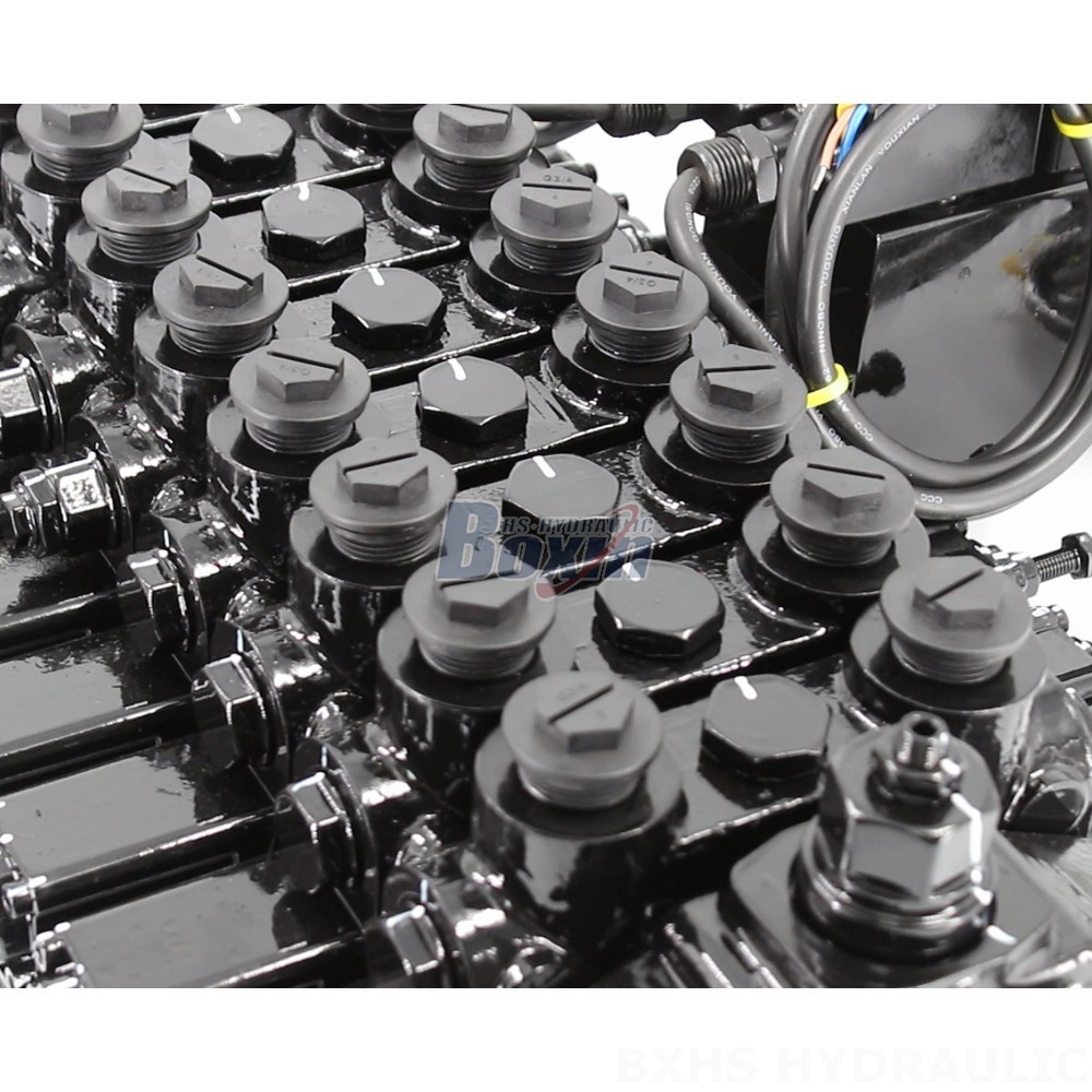 Explore Partnership Opportunities: Collaborate on DCV150-10-NPT Hydraulic Valve Distribution detail image